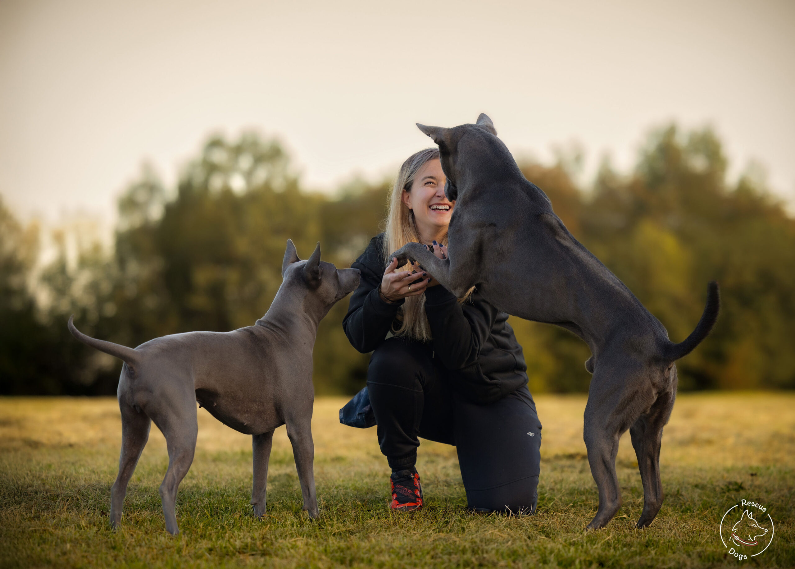 Kobieta w czarnej bluzce bawi się w dwoma psami.